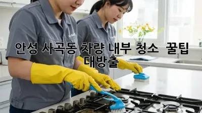 안성 사곡동 차량 내부 청소 ✨ 꿀팁 대방출! 🚗💨